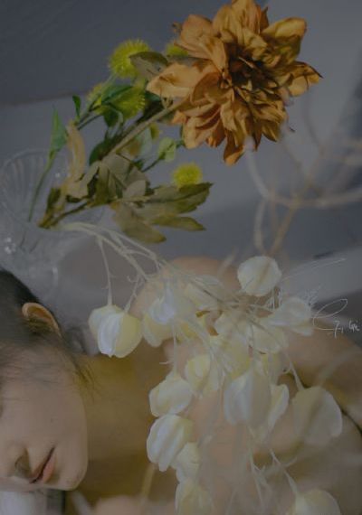 美国理论视频成人医院_BD在线视频观看